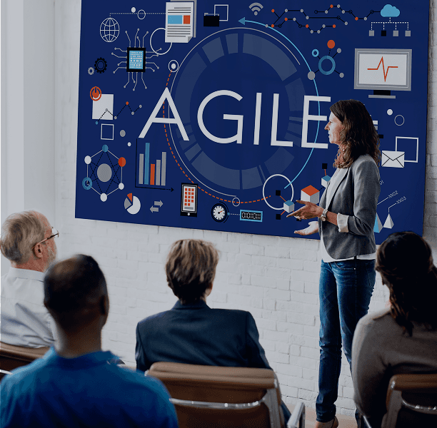Agile section image